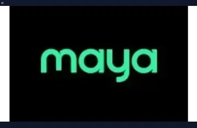 PT Gaming Maya Wallet InstaPay Cashier